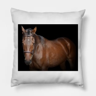 Mousquetaire Pillow