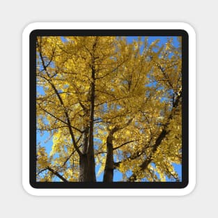 Golden Branches Magnet