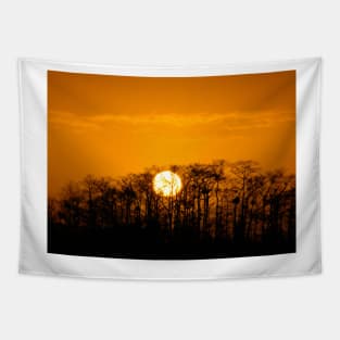 "Everglades Sunrise" Tapestry