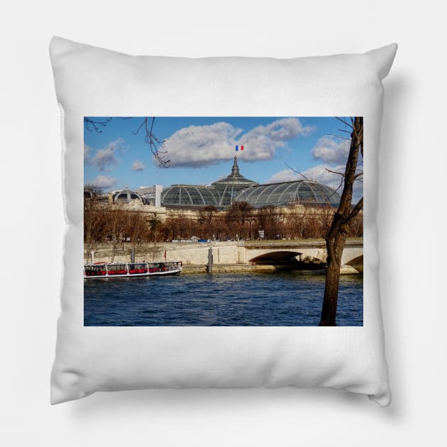 DSC00409_WGC Pillow by wgcosby