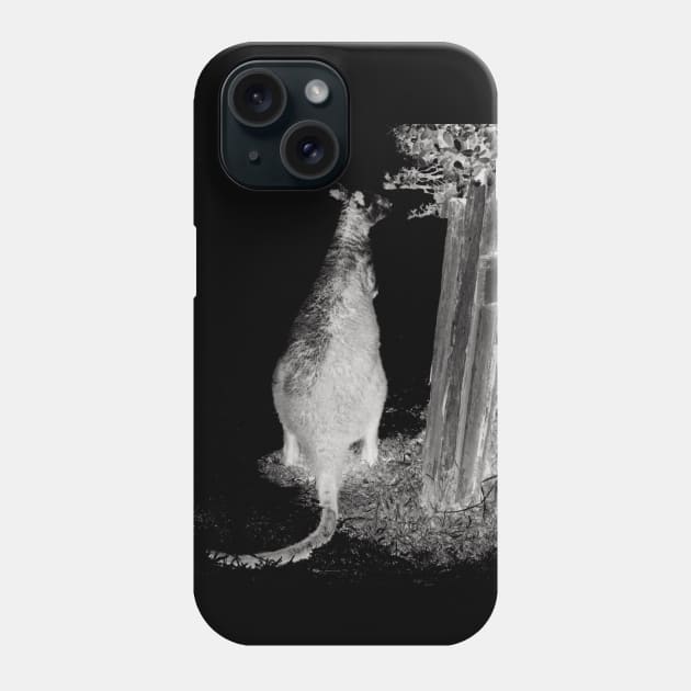 Wallaby in the Night! Phone Case by Mickangelhere1