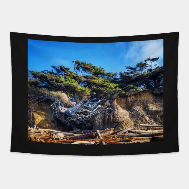 Kalaloch Tree of Life Tapestry by kchase