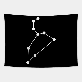 Leo Horoscope Zodiac Tapestry