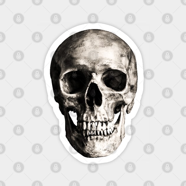 skull Magnet by Lamink