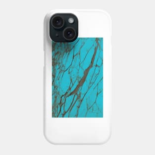 Turquoise stone Phone Case