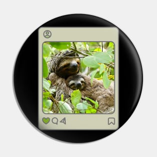 Sloths in a tree Pin