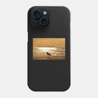 Seagull admiring Thacher Island Gloucester MA Good Harbor Beach Phone Case