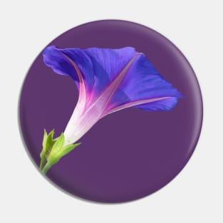 Single Ipomoea Purpurea Cut Out Vector Pin