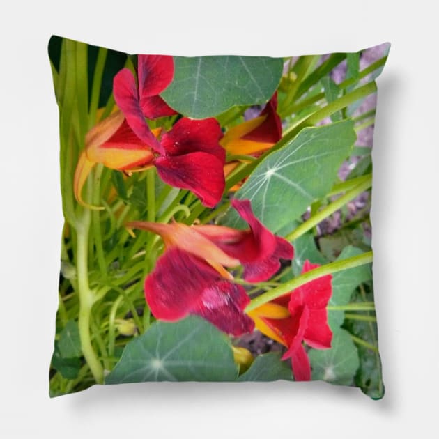 Red Nasturtium Pillow by Hajarsdeco