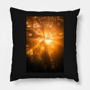 Sunbeam in the Forest Pillow