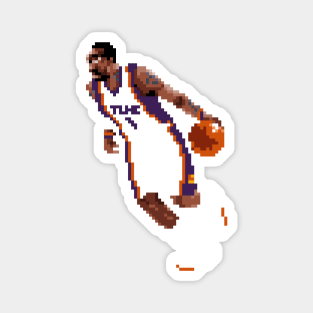 Amare Stoudemire Pixel Dribble Magnet