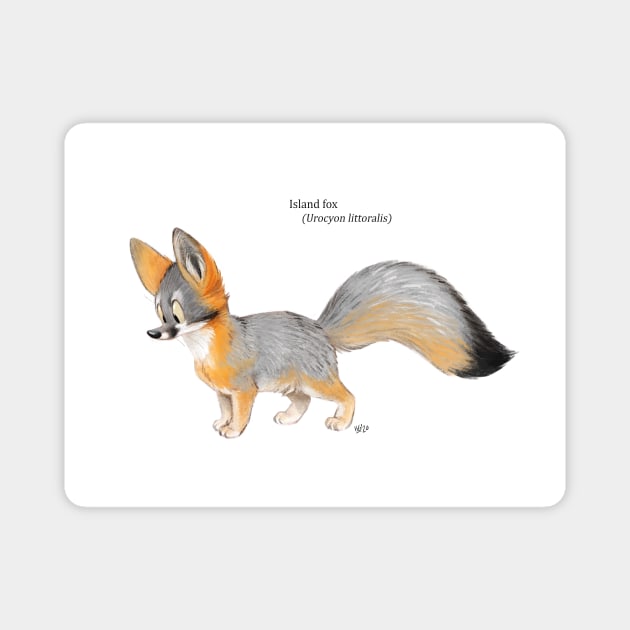 Island Fox (print) Magnet by HenriekeG