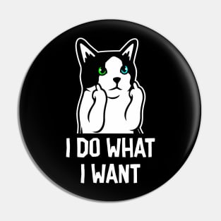 What I Want Pin