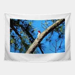 Red Headed Woodpecker Tapestry