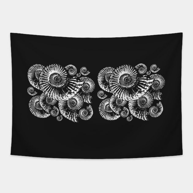 Fossil Ammonite illustration Tapestry by Diggertees4u