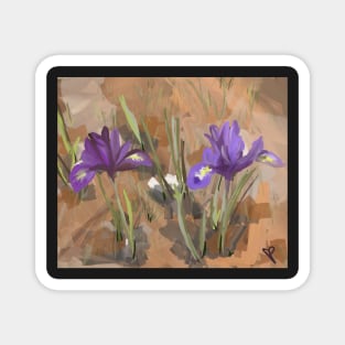 Two Blooming Iris Magnet