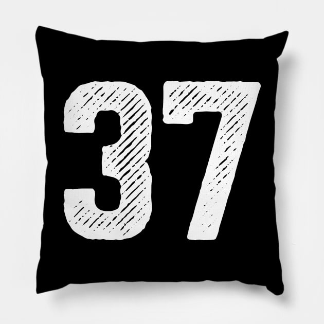 Rough Number 37 Pillow by colorsplash