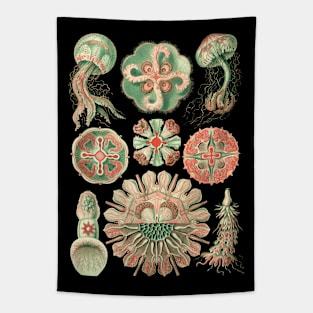 Ernst Haeckel Discomedusea Jellyfish Natural Tapestry