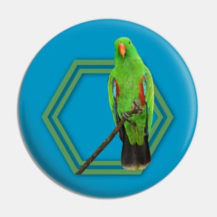 Eclectus Parrot Pin