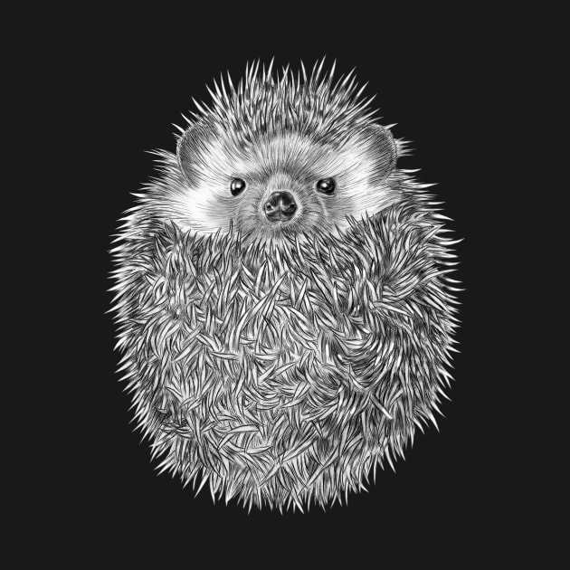 Hedgehog by Tim Jeffs Art