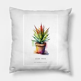 Aloe Vera, Mexican Plant Pillow