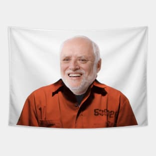 Hide the Pain Harold Prisoner Tapestry