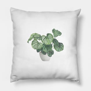 Potted Calathea Plant Pillow