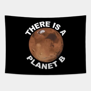 "There is a Planet B" Tapestry