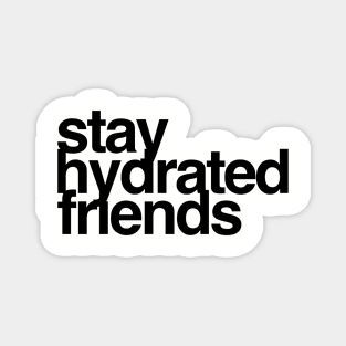 Stay Hydrated Friends Magnet