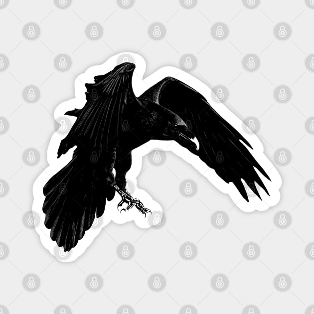 Raven #3 Magnet by GrizzlyVisionStudio