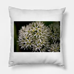 English Wild Garlic Pillow