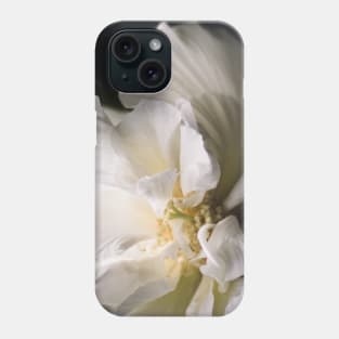 Hibiscus mutabilis flower closeup Phone Case