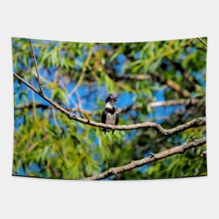 Belted Kingfisher Perched On a Tree Branch Tapestry