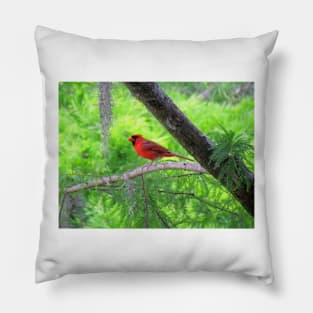 Red Bird Pillow