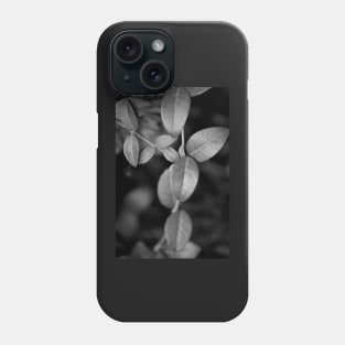 Vines Meeting Phone Case