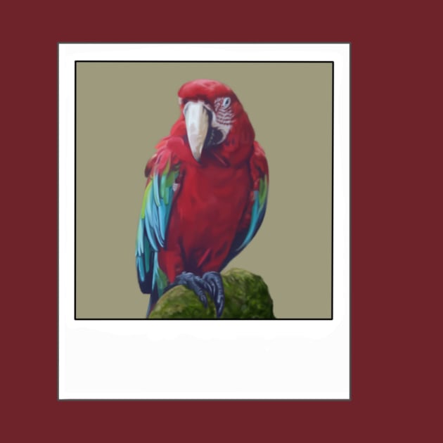 Scarlet Macaw- Digital illustration by AlmightyClaire