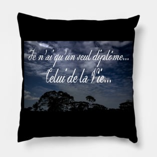 diploma Pillow