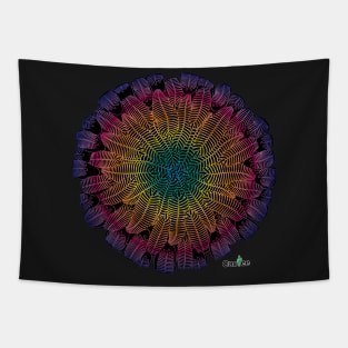 Pelecyphora Aselliformis rainbow Tapestry