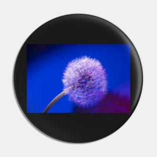 Dandelion in blue Pin