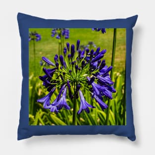 Purple Pop Pillow