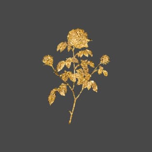 Vintage Gilded Agatha Rose in Bloom Botanical Gold Leaf T-Shirt