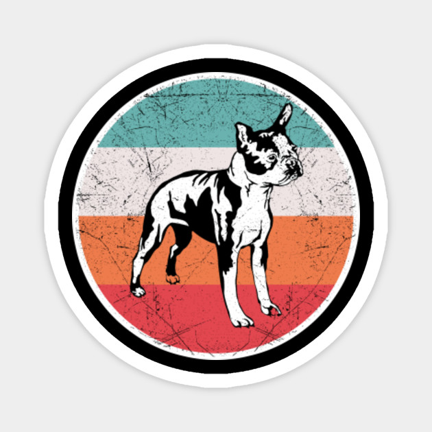 retro boston terrier