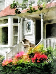 Spring - Azaleas by Porch With Wicker Chair Magnet