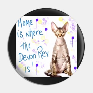 Home is where the Devon Rex is! Pin