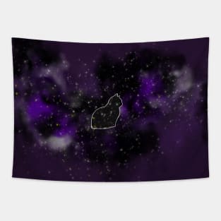 Galaxy Cat Tapestry