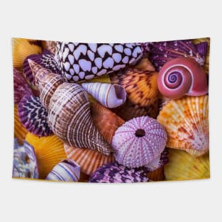 seashell Tapestry