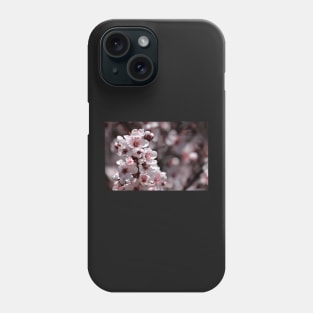 Japanese Cherry Tree (#1) Phone Case