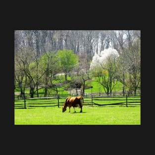 Cows - Cow Grazing in Pasture in Spring T-Shirt