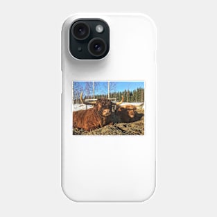 Scottish Highland Cattle Bulls 1935 Phone Case