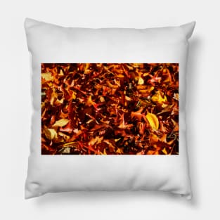 Colorfully discolored autumn leaves lying on the ground, Germany Pillow